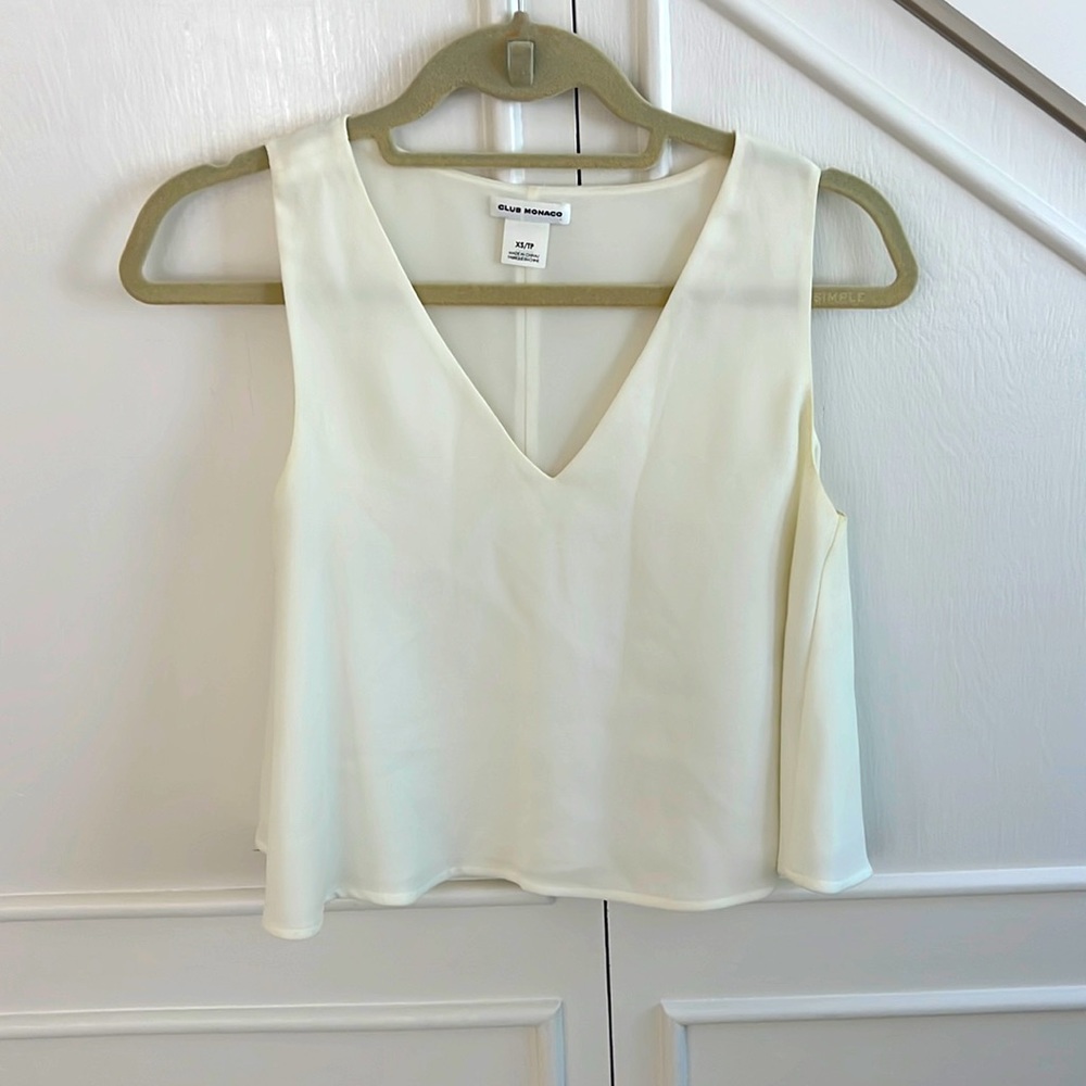 Club Monaco crop top